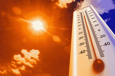 How to Cope with Extreme Heat?