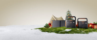 Canadian Boxing Day 2024