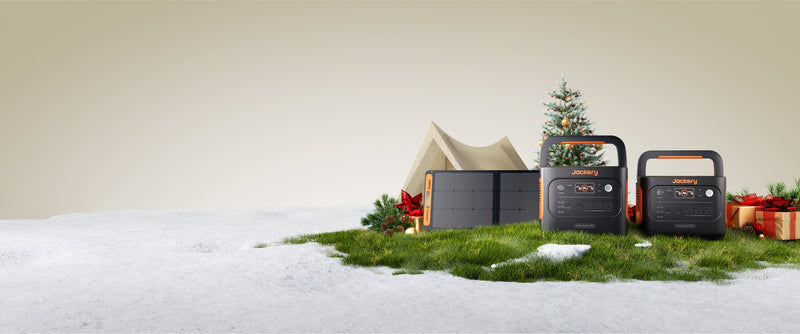 Canadian Boxing Day 2024