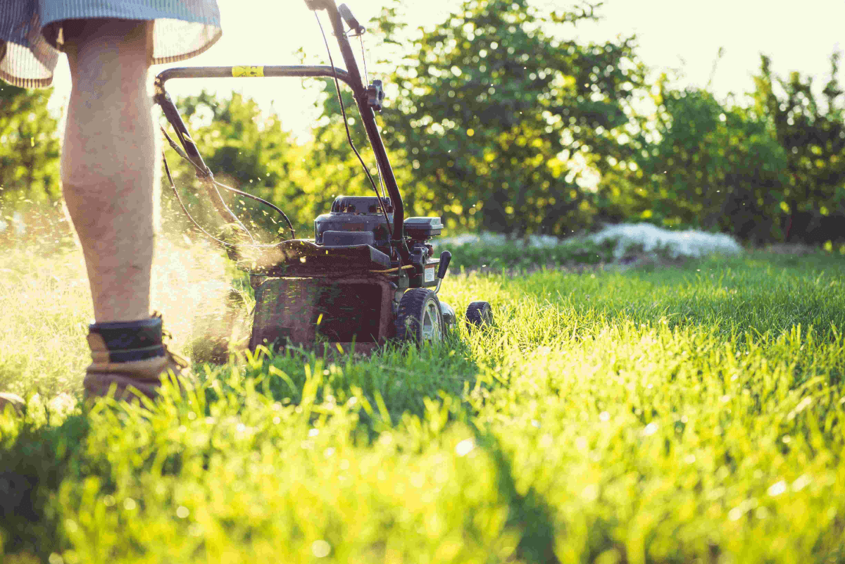 How to Unleash the Potential of Solar Generators to Power Your Automated Lawnmower