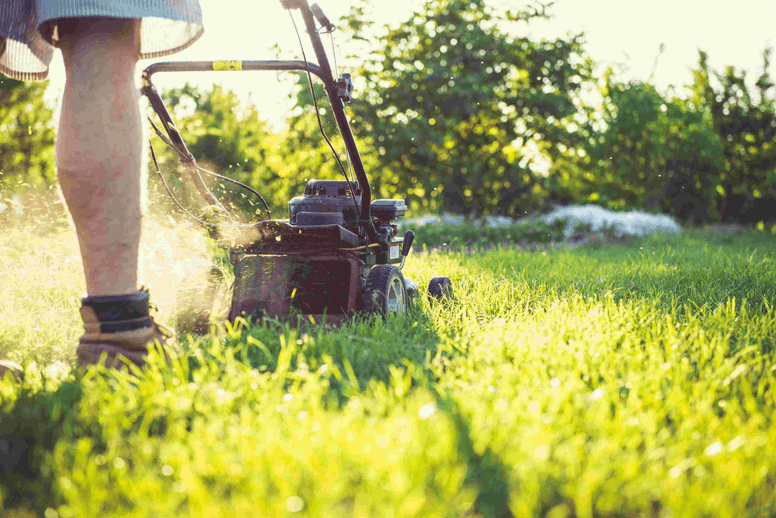  Solar Generators to Lawnmower