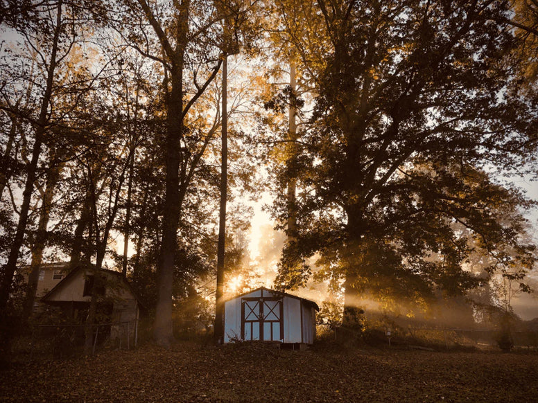 backyard shed