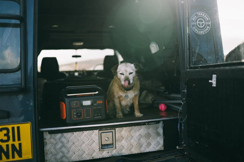 The Ultimate Guide on Road Trips with Dog or Puppy