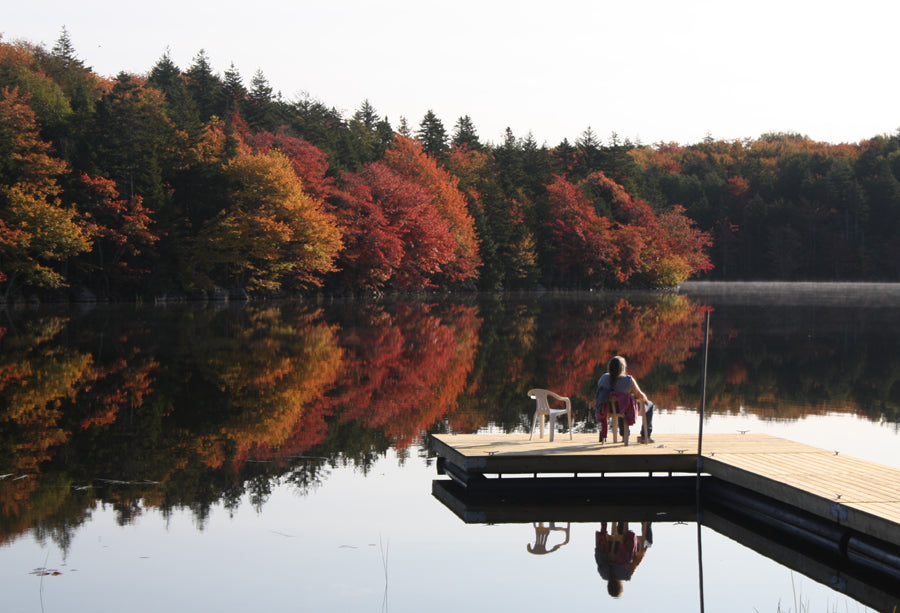 Learning to Live with the Sun